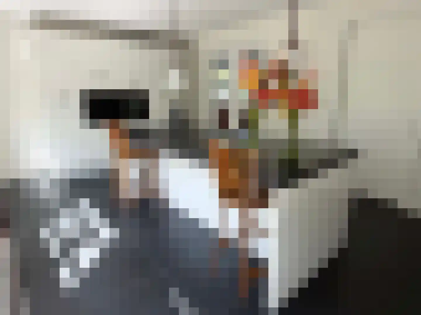 Vlonder 33 Dalerpeel thumbnail 37