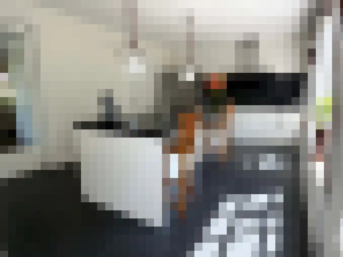 Vlonder 33 Dalerpeel thumbnail 45
