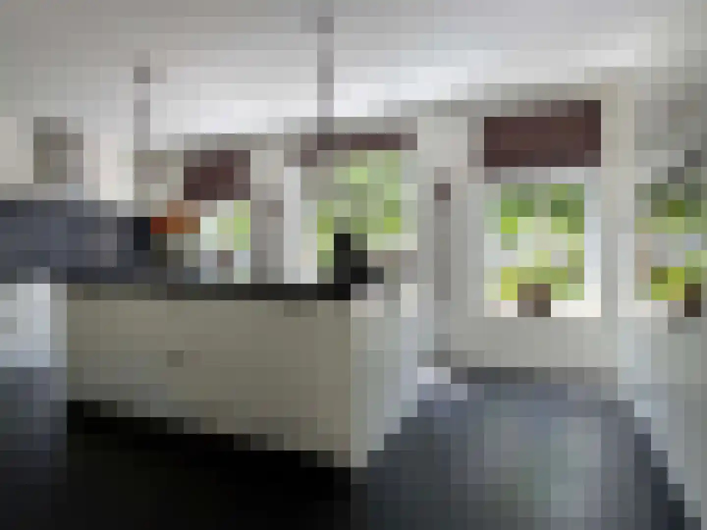 Vlonder 33 Dalerpeel thumbnail 5