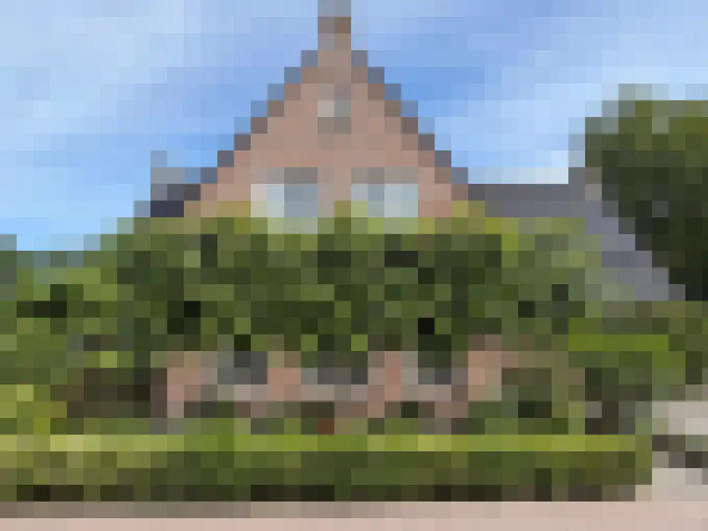 Vlonder 33 Dalerpeel thumbnail 6
