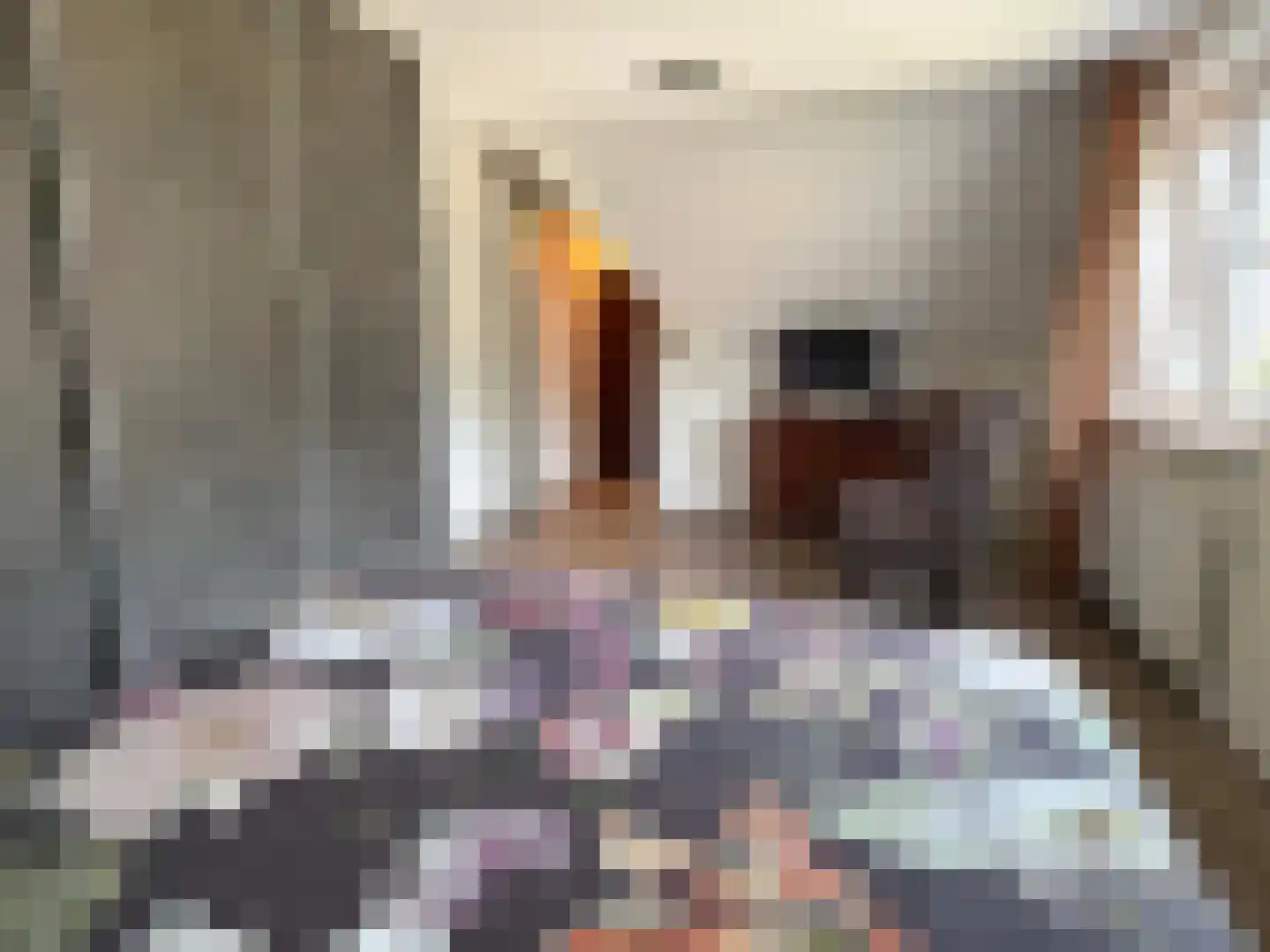 Vlonder 33 Dalerpeel thumbnail 50