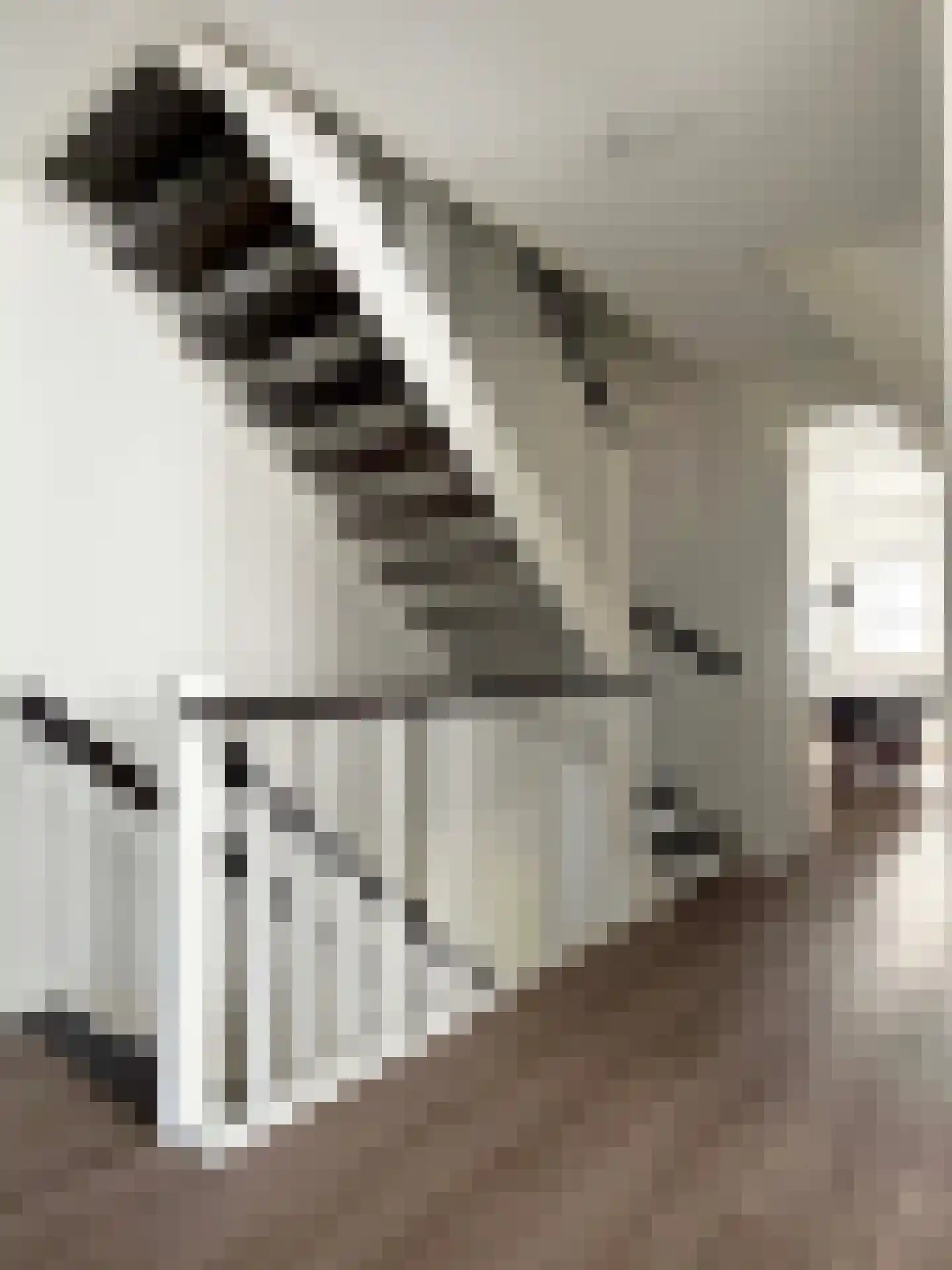 Vlonder 33 Dalerpeel thumbnail 52