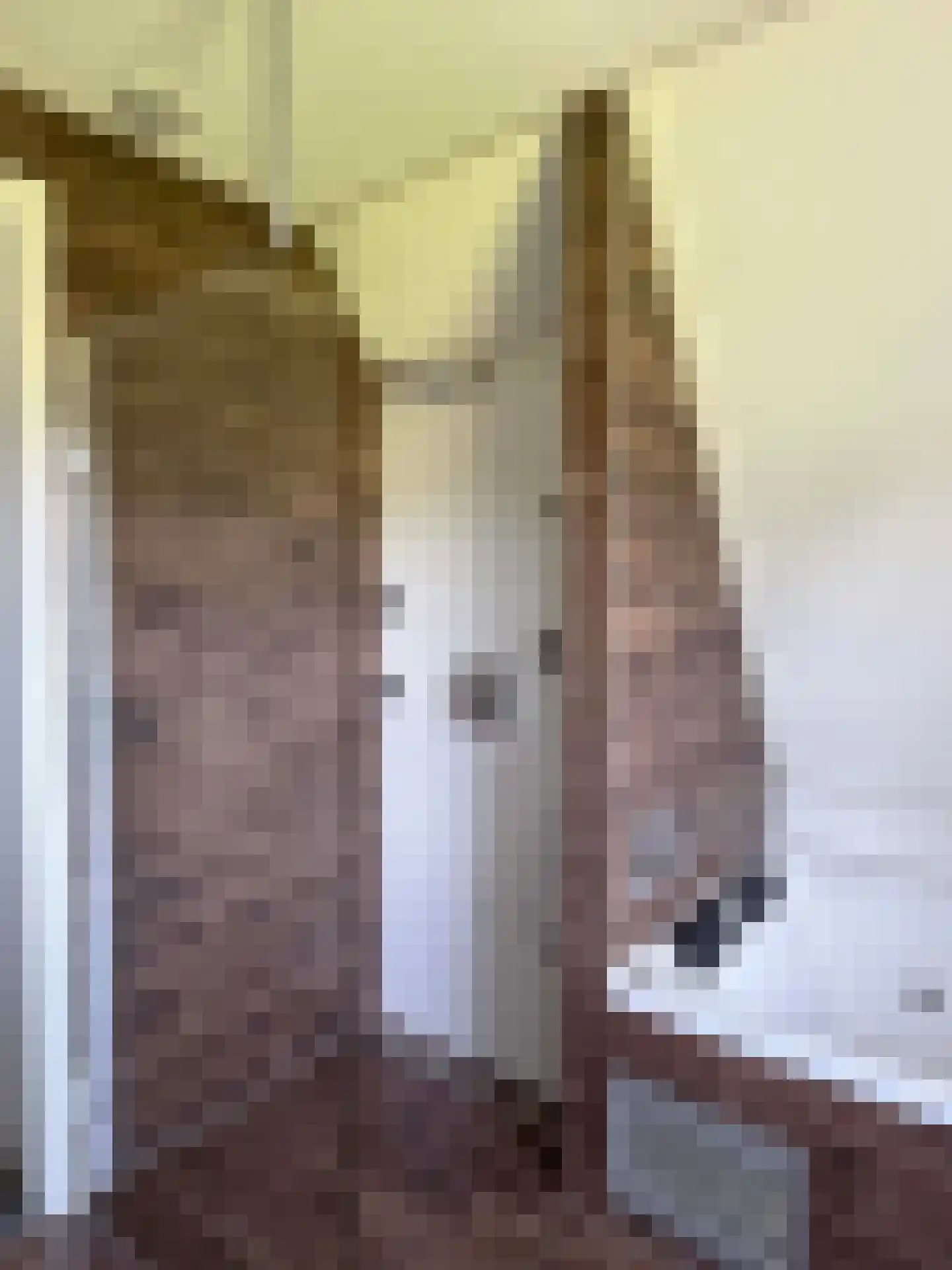 Vlonder 33 Dalerpeel thumbnail 54