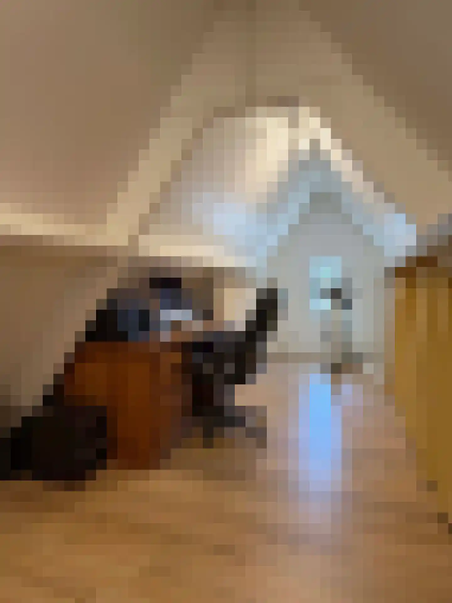 Vlonder 33 Dalerpeel thumbnail 68