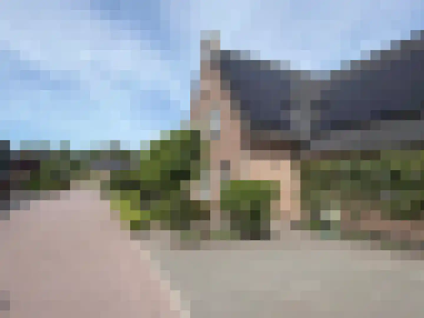 Vlonder 33 Dalerpeel thumbnail 7