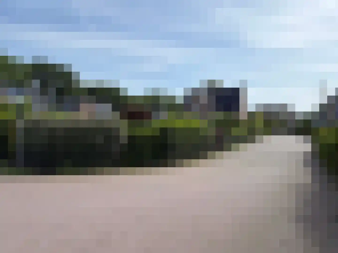 Vlonder 33 Dalerpeel thumbnail 8