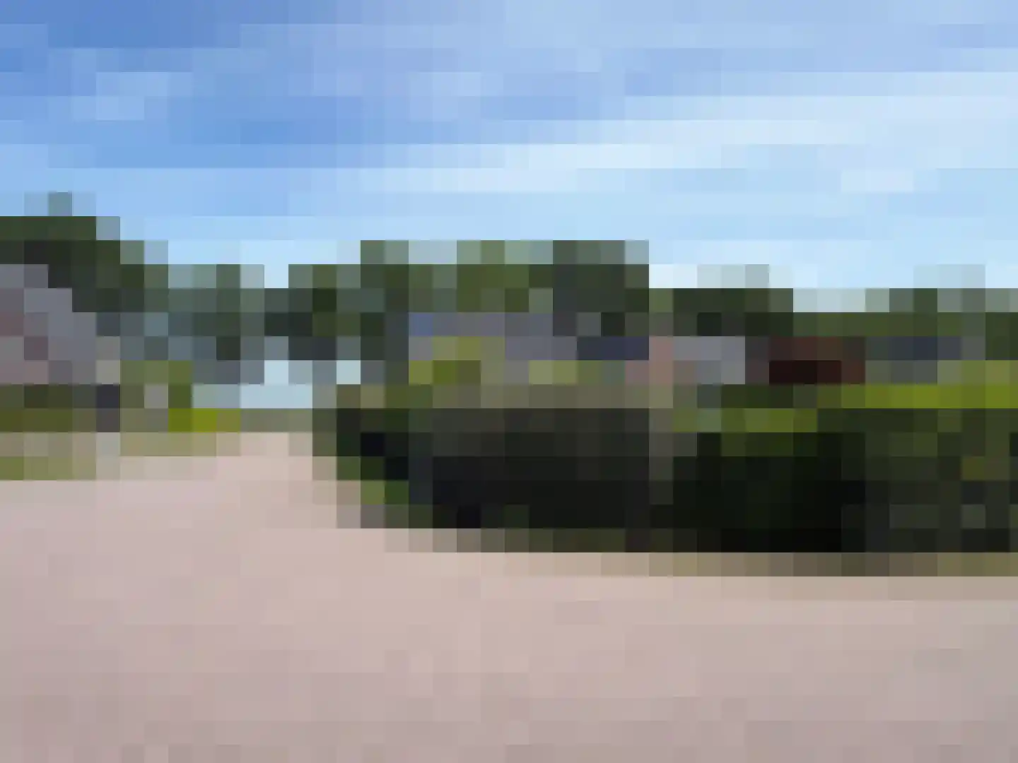 Vlonder 33 Dalerpeel thumbnail 9