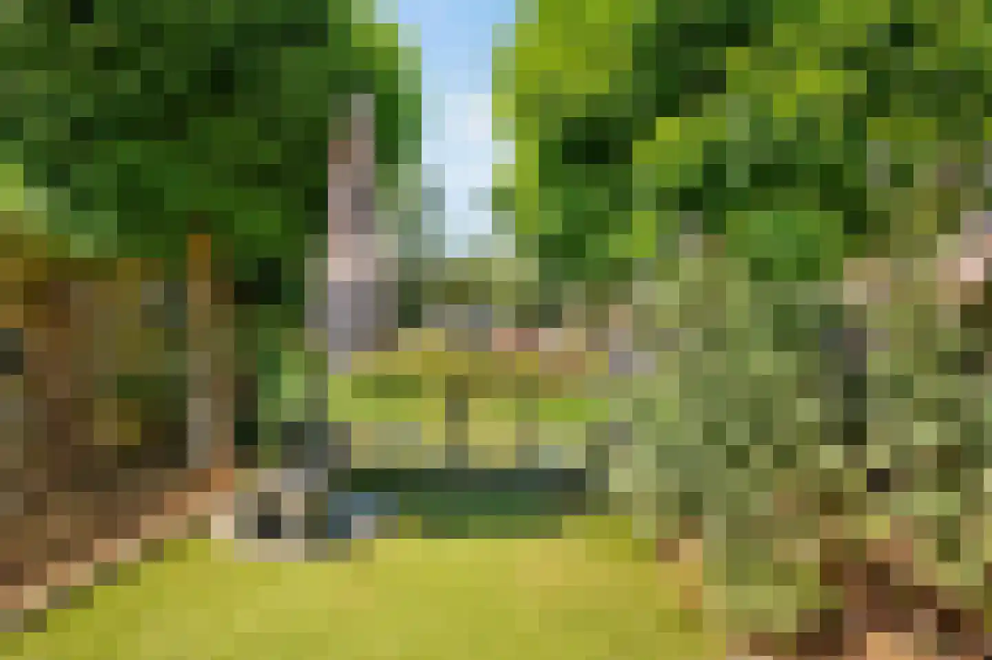 Vlonderkamp 17 Noordwijkerhout thumbnail 22