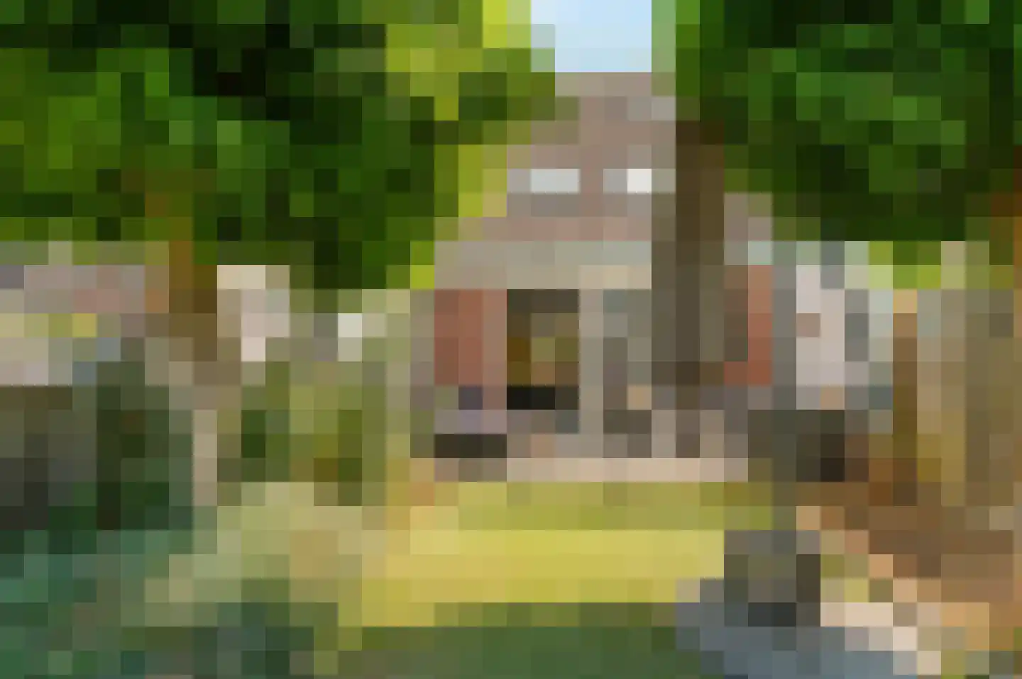 Vlonderkamp 17 Noordwijkerhout thumbnail 27