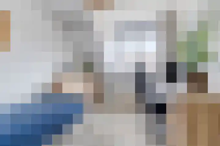 Vlonderkamp 46 Noordwijkerhout thumbnail 19