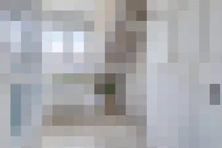 Vlonderkamp 46 Noordwijkerhout thumbnail 25