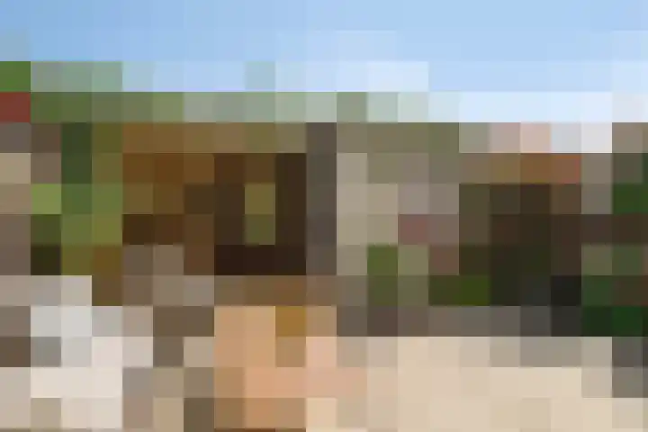Vlonderkamp 46 Noordwijkerhout thumbnail 30
