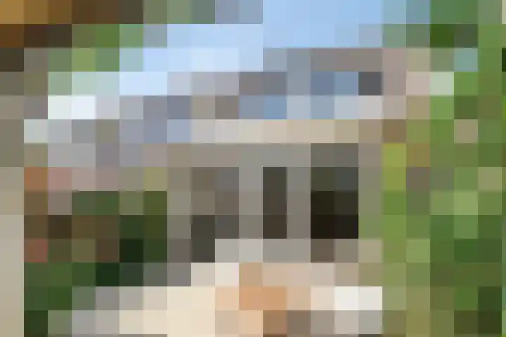 Vlonderkamp 46 Noordwijkerhout thumbnail 33