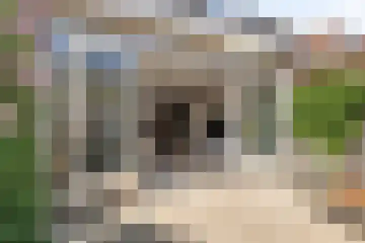 Vlonderkamp 46 Noordwijkerhout thumbnail 34