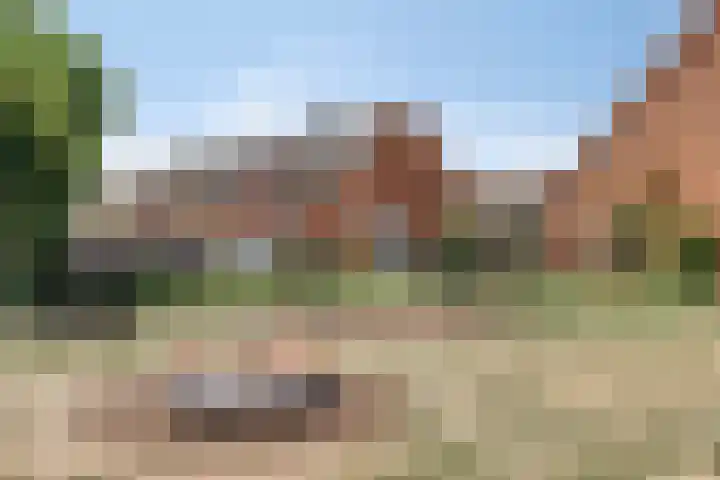 Vlonderkamp 46 Noordwijkerhout thumbnail 39
