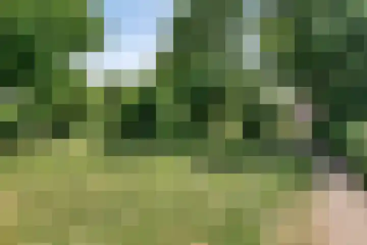 Vlonderkamp 46 Noordwijkerhout thumbnail 40