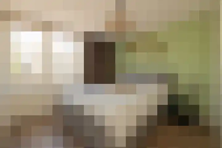 Vlonderkamp 8 Noordwijkerhout thumbnail 11