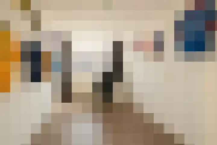 Vlonderkamp 8 Noordwijkerhout thumbnail 15