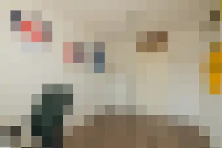 Vlonderkamp 8 Noordwijkerhout thumbnail 16
