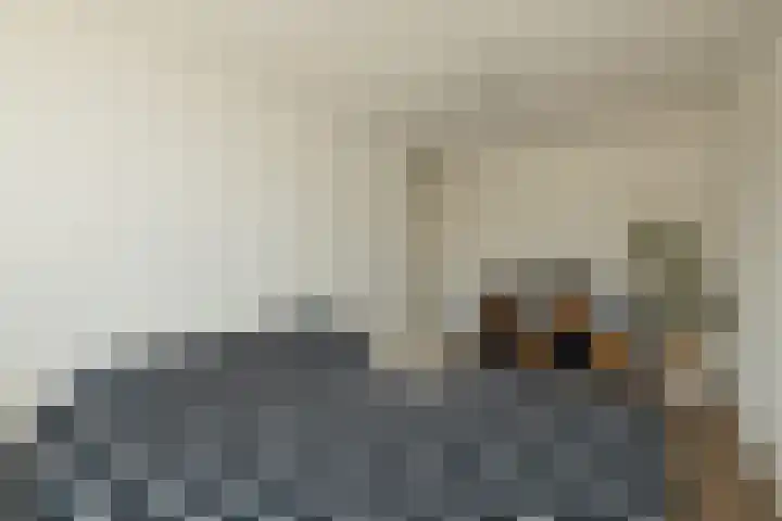 Vlonderkamp 8 Noordwijkerhout thumbnail 18