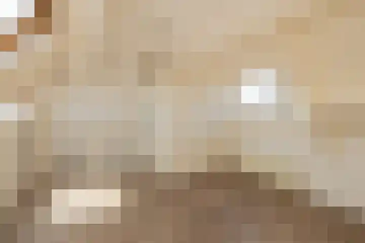 Vlonderkamp 8 Noordwijkerhout thumbnail 20