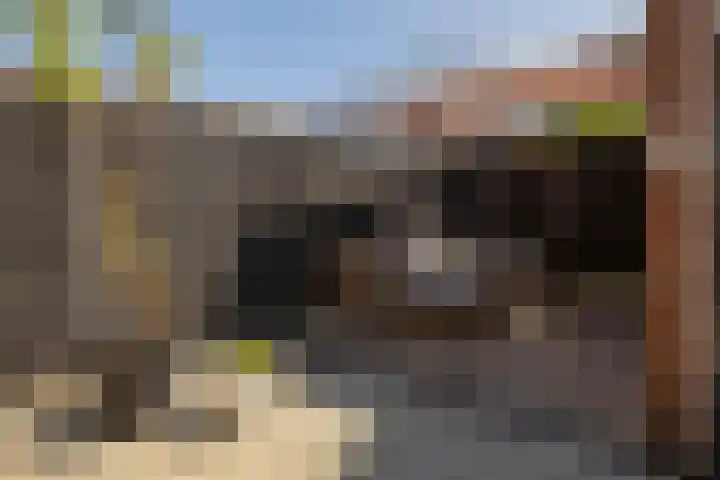 Vlonderkamp 8 Noordwijkerhout thumbnail 22