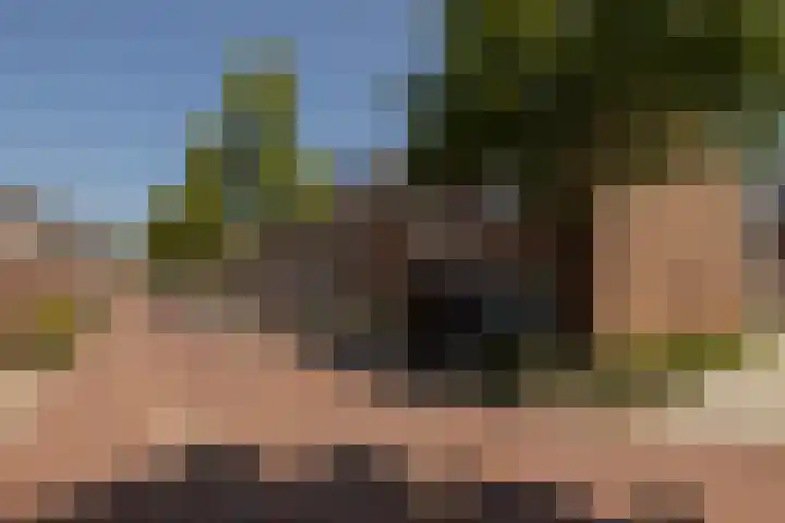 Vlonderkamp 8 Noordwijkerhout thumbnail 25