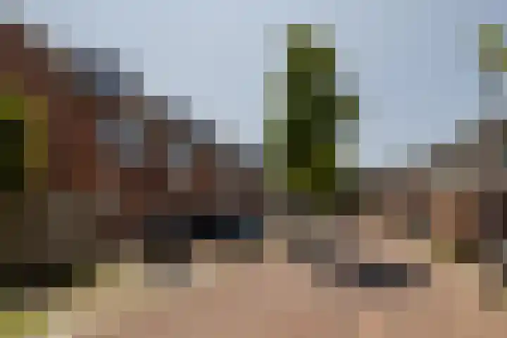 Vlonderkamp 8 Noordwijkerhout thumbnail 26