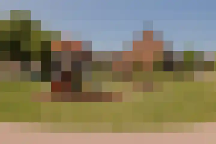 Vlonderkamp 8 Noordwijkerhout thumbnail 27