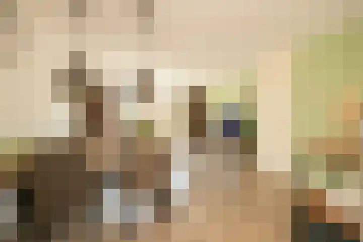 Vlonderkamp 8 Noordwijkerhout thumbnail 6