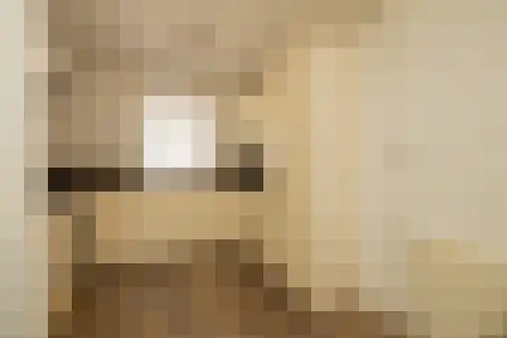 Vlonderkamp 8 Noordwijkerhout thumbnail 8