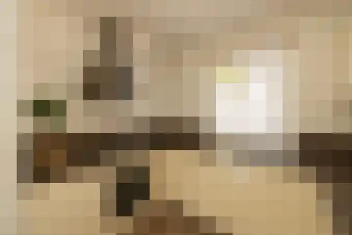Vlonderkamp 8 Noordwijkerhout thumbnail 9