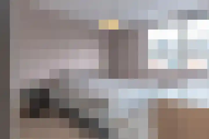 Vlonderkamp 9 Noordwijkerhout thumbnail 19
