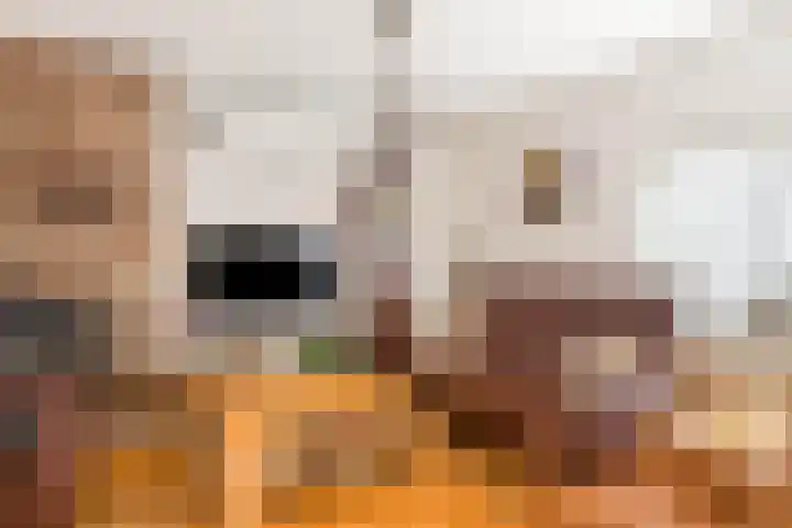 Vlonderstraat 12 Nieuwstadt thumbnail 16