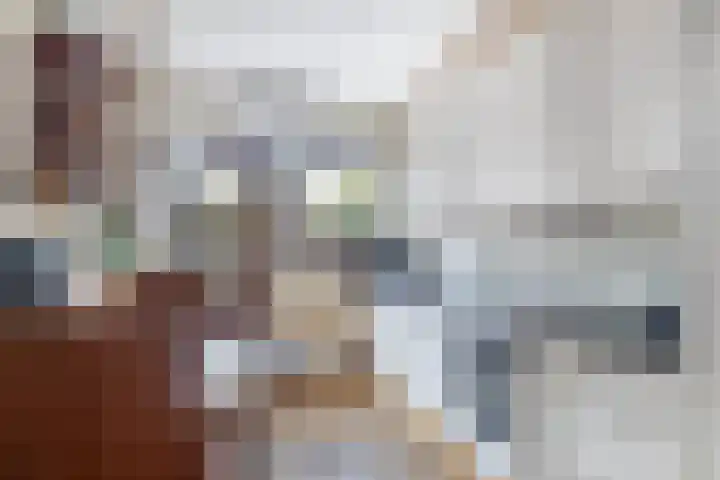 Vlonderstraat 12 Nieuwstadt thumbnail 21