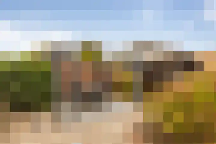 Vlonderstraat 12 Nieuwstadt thumbnail 30