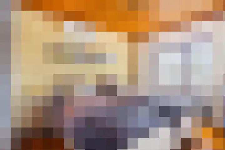 Vlonderstraat 12 Nieuwstadt thumbnail 4