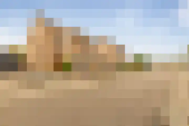 Vlonderstraat 12 Nieuwstadt thumbnail 7