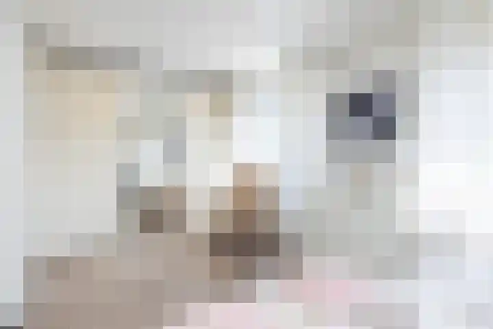 Vlonderstraat 7 Nieuwstadt thumbnail 25