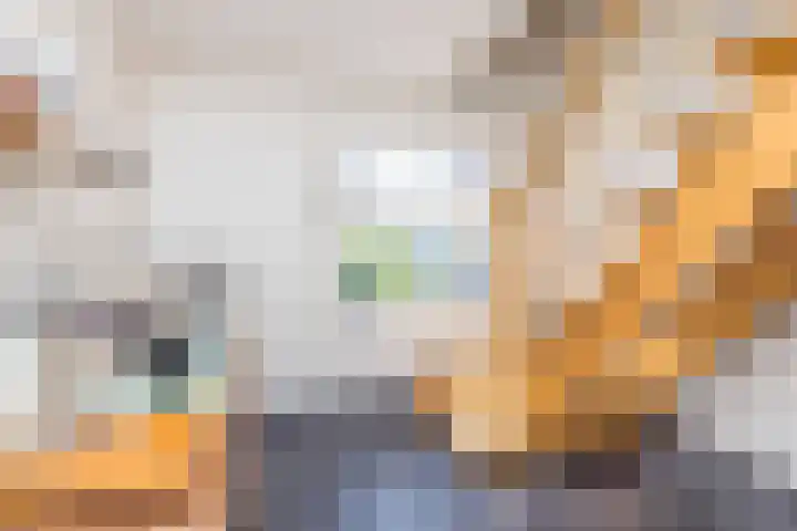 Vlonderstraat 7 Nieuwstadt thumbnail 29