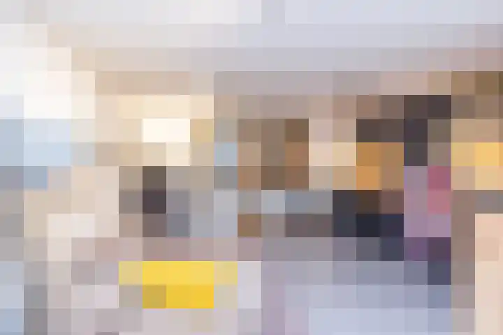 Vlonderstraat 7 Nieuwstadt thumbnail 30