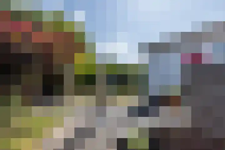 Vlonderstraat 7 Nieuwstadt thumbnail 39