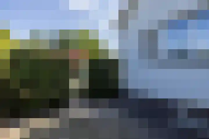 Vlonderstraat 7 Nieuwstadt thumbnail 40