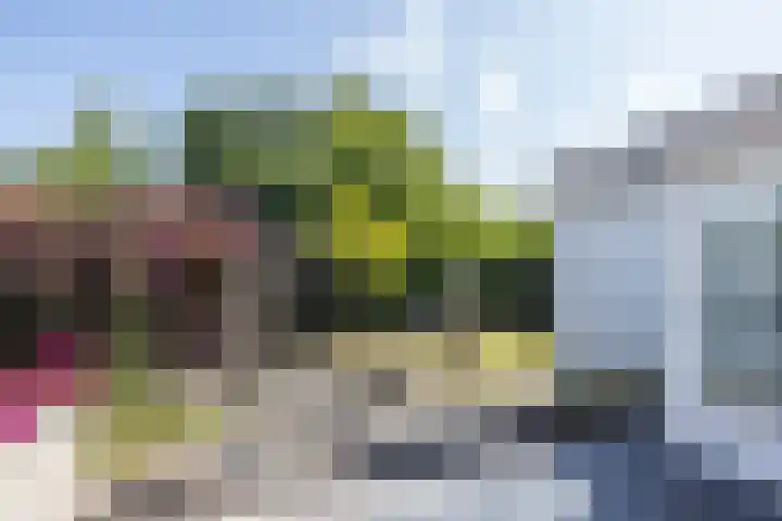 Vlonderstraat 7 Nieuwstadt thumbnail 41