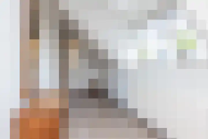 Vlonderstraat 7 Nieuwstadt thumbnail 42