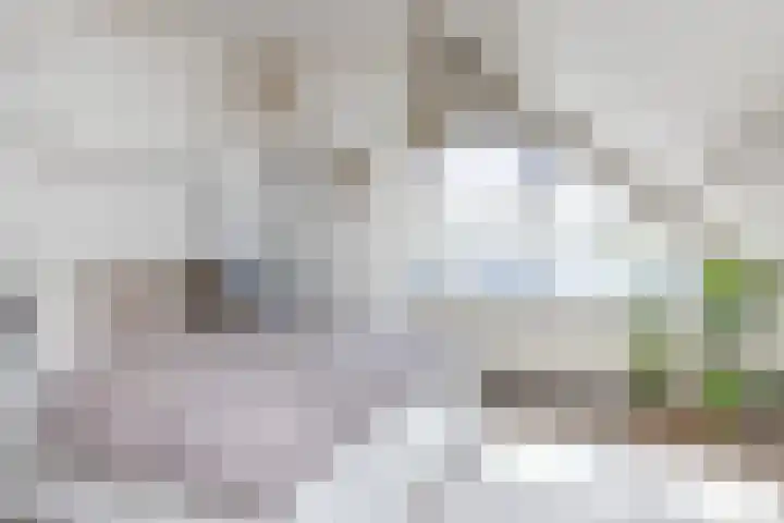 Vlonderstraat 7 Nieuwstadt thumbnail 44