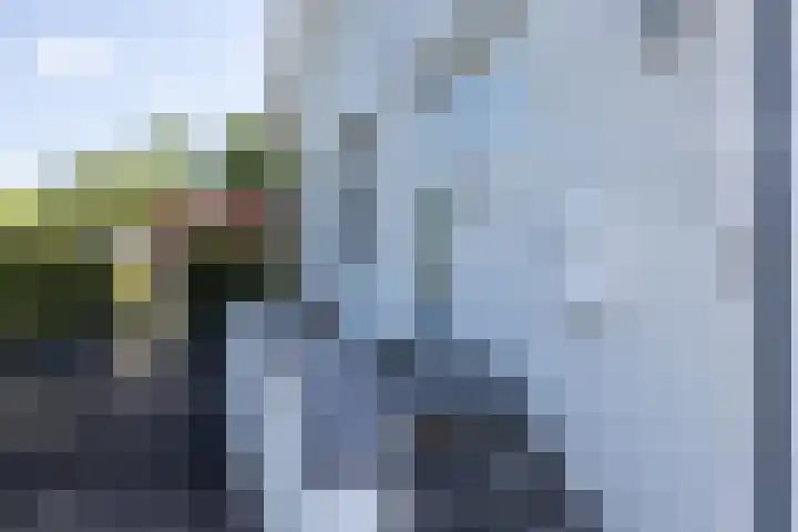 Vlonderstraat 7 Nieuwstadt thumbnail 9