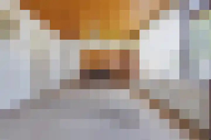 Vlonderstraat 8 Nieuwstadt thumbnail 11