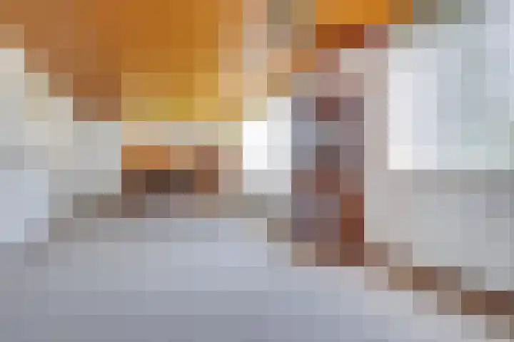 Vlonderstraat 8 Nieuwstadt thumbnail 12