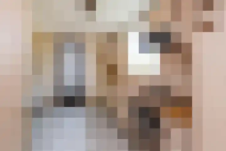 Vlonderstraat 8 Nieuwstadt thumbnail 14